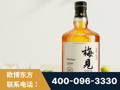 临夏-梅见青梅酒